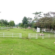 อริสโต