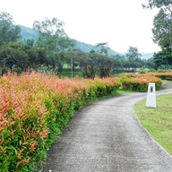 อริสโต