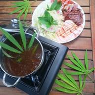 กินกะเพรา-กัญ