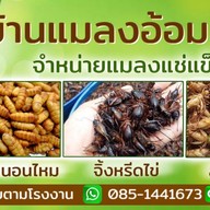 บ้านแมลงอ้อมน้อย