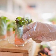 เลยตามเลย