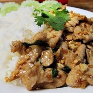 Patchanichpa ป่าตาล