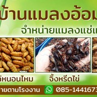 บ้านแมลงอ้อมน้อย