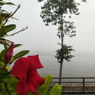 บรรยากาศ ร้านกาแฟ P&t Valentine's Coffee