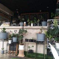 บรรยากาศ ร้านกาแฟ P&t Valentine's Coffee