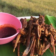 ครัวน้ำปิง