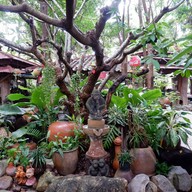 ครัวคนบ้านนอก