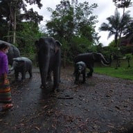 ถ้ำพุงช้าง
