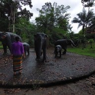 ถ้ำพุงช้าง