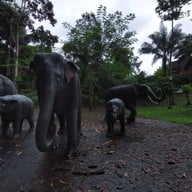 ถ้ำพุงช้าง