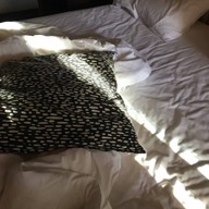Josh Hotel