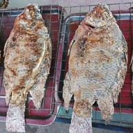 ไก่ย่างคอนหวัน@วังหิน47 ลาดพร้าว