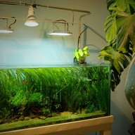 พราวคัพ คอฟฟี่ โชคชัยสี่ ซอย 54