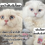 Kirei Thailand