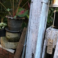 เหน็บชาคาเฟอีน