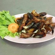 ร้านอาหารเฟื่องฟ้า