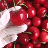 รินทร์ลอยเเก้ว ผลไม้ตามฤดูกาล