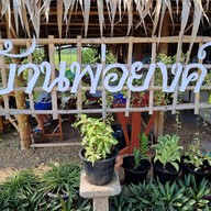 ก๋วยเตี๋ยวบ้านพ่อยงค์