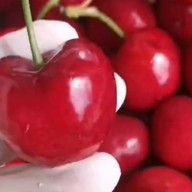 รินทร์ลอยเเก้ว ผลไม้ตามฤดูกาล