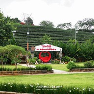 101 Tea Green View Resort
