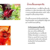 โบว์น้ำสมุนไพร(หน้าธนาคารกรุงไทย) ไม่มีสาขา