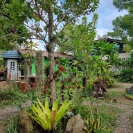 บ้านนกปลายนา โฮมสเตย์