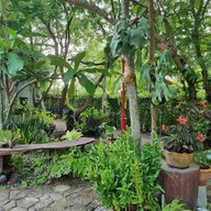 บ้านนกปลายนา โฮมสเตย์