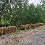 บ้านนกปลายนา โฮมสเตย์