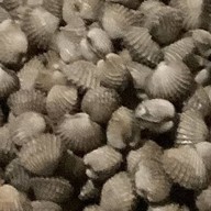 ตามสั่ง-คอแฟร์&Food 1