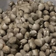 ตามสั่ง-คอแฟร์&Food 1