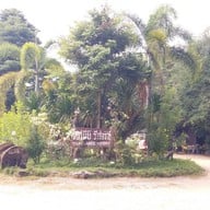 ภูค้อ นาแห้ว เลย