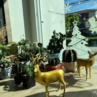 Wanna Sweet and Savoury Cafe