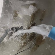 สดซิงซิง