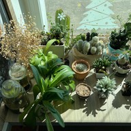 Wanna Sweet and Savoury Cafe