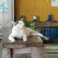 บรรยากาศ ก๋วยเตี๋ยวน้ำตกป้าเนียร