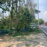 ป่าสักริมโขง - ต้มไก่บ้าน
