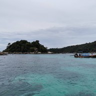 จุดดำน้ำ เกาะผึ้ง