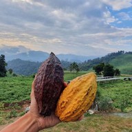 Cocoa Chocolate THAI by CocoHills