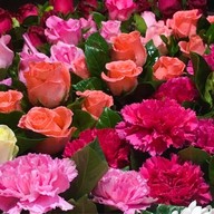 ⭐️ ร้านดอกไม้ณิลปัทม์ 👍🏻 พวงมาลัย ดอกไม้สด สังฆภัณฑ์ ⭐️