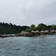 จุดดำน้ำ เกาะผึ้ง