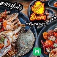 หมาเฒ่า