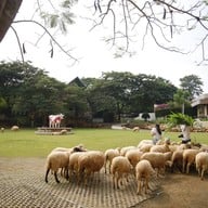บรรยากาศ Grandma's Cafe สวนผึ้ง ราชบุรี