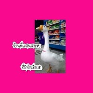 ตี๋แสนสบาย