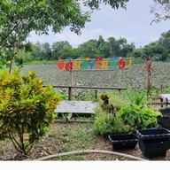 ส้มตำริมบึง