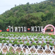 ไร่หวานหวาน