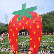 ไร่หวานหวาน