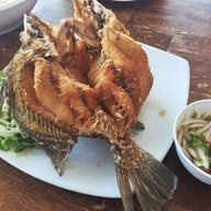 Lullaby steak & farm