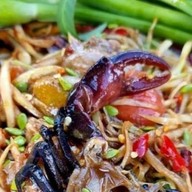 โคตรคูล ส้มตำแซ่บ (ร้านไก่ย่างบางตาล สาขาราชพฤกษ์)