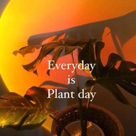 Everyday is plant day ไม้ด่าง ไม้ฟอกอากาศ ส่งต้นไม้เป็นของขวัญ แบ่งปันไม้สะสม ไม้ด่าง ไม้ฟอกอากาศ