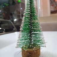 เดอะโบว์ล